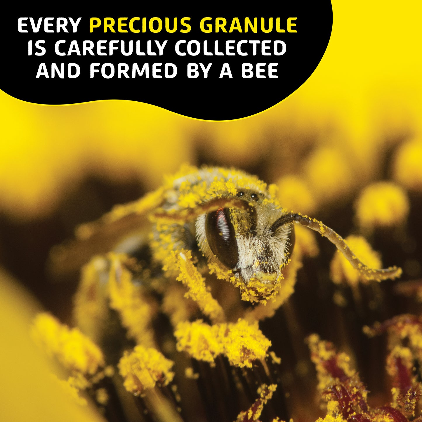 Helio Hives Bee Pollen 250g - Premium Australian Bee Pollen