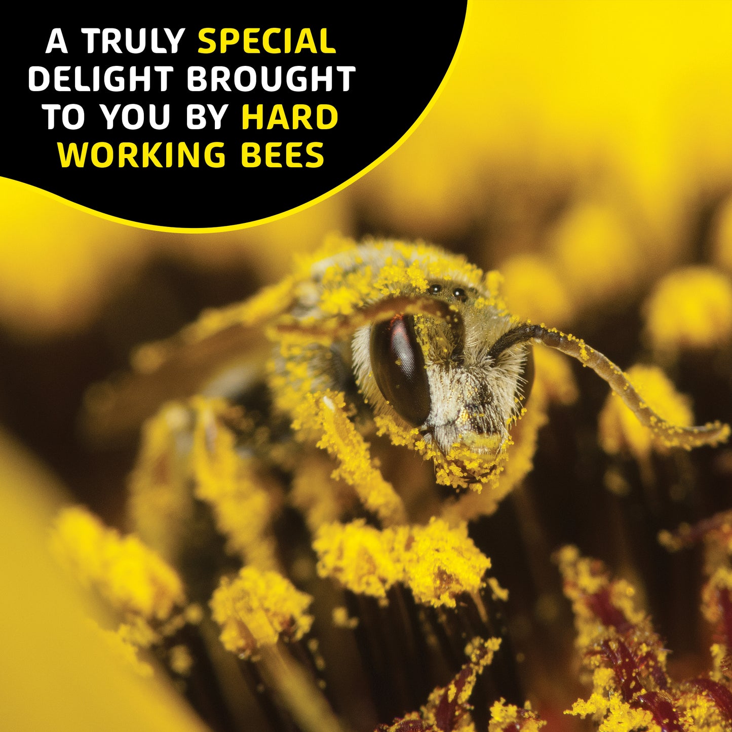 Helio Hives Bee Pollen 250g - Premium Australian Bee Pollen