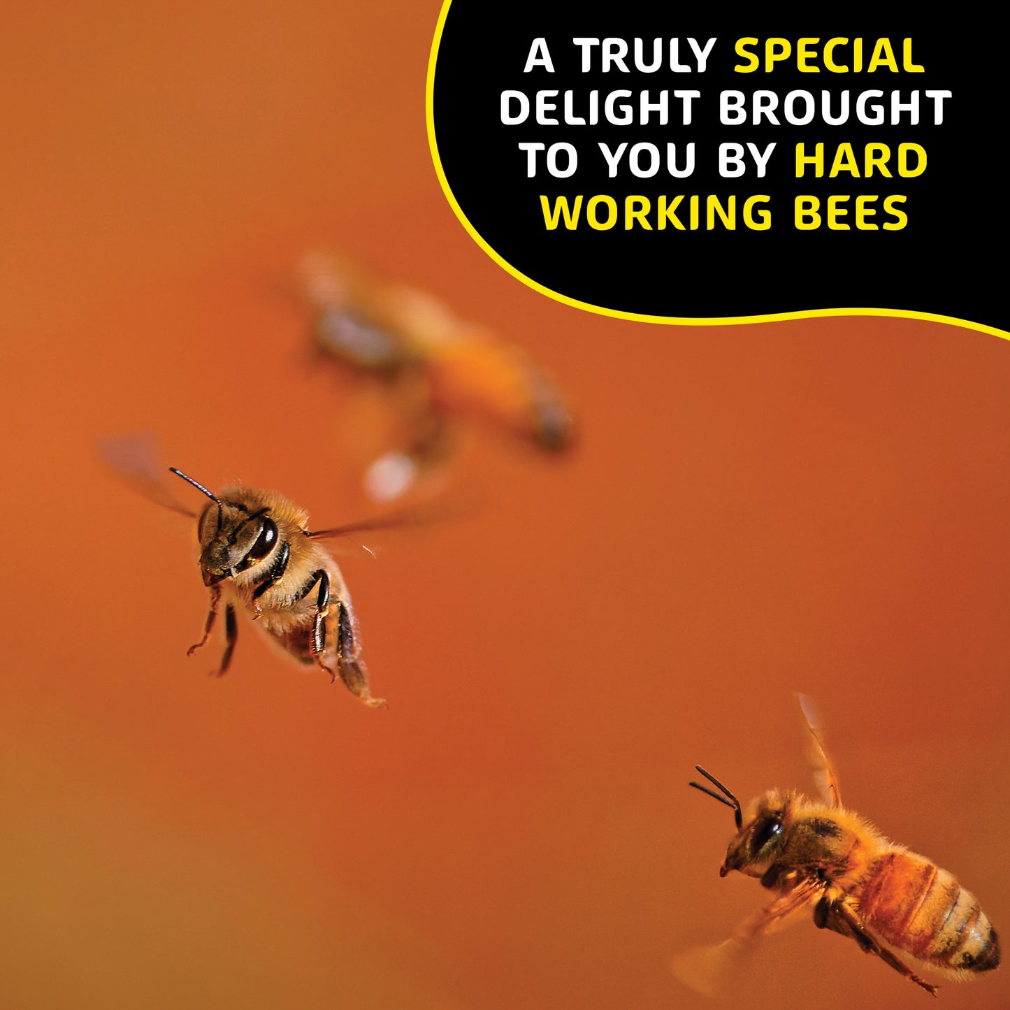 Helio Hives Bee Pollen 500g - Premium Australian Bee Pollen