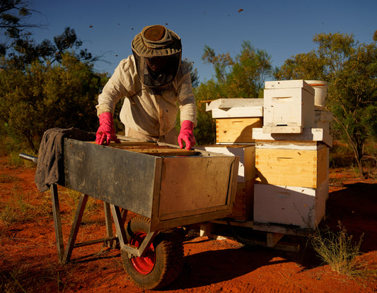 Why Western Australian Bee Pollen Reigns Supreme