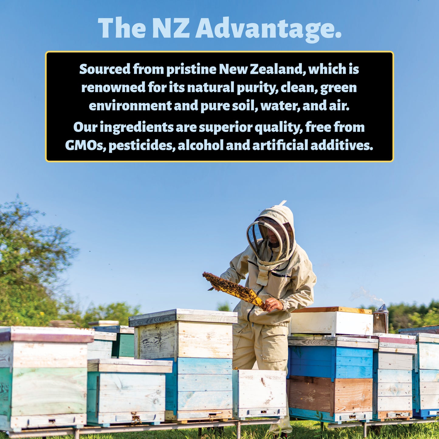Bee Pollen + Propolis Manuka Throat Spray Pack